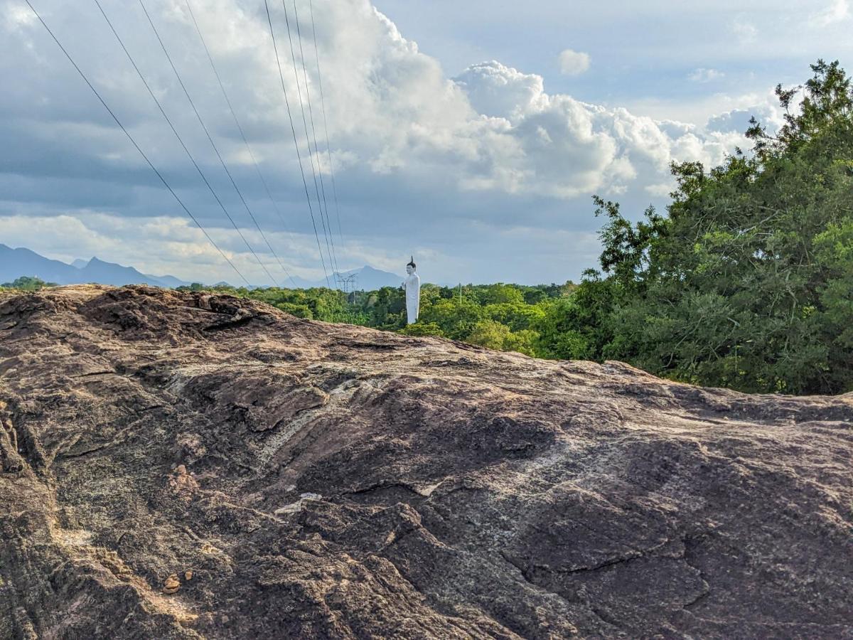 Choona Lodge 'View Of Sigiriya & Pidurangala With Sunrise' المظهر الخارجي الصورة
